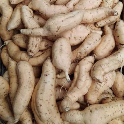 Cilembu Sweet Potato