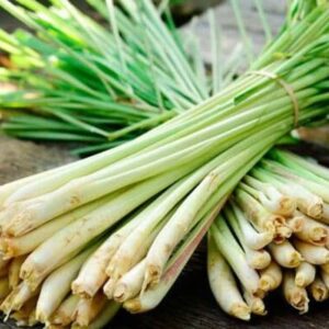Lemon Grass