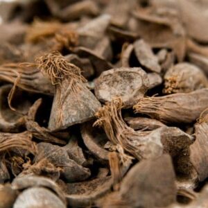 Palm Kernel Shell