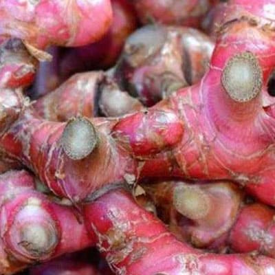 Red Ginger