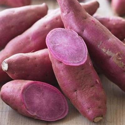 Sweet Potato