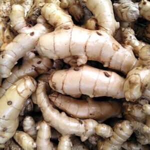 White Curcuma (Turmeric)