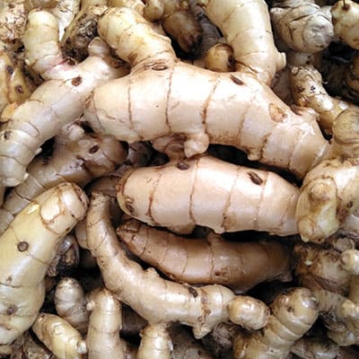 White Curcuma (Turmeric)
