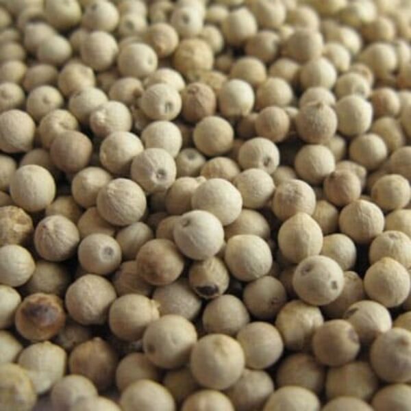 White Pepper