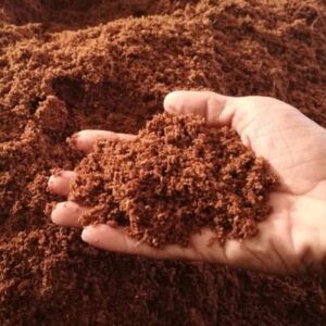 Cocopeat