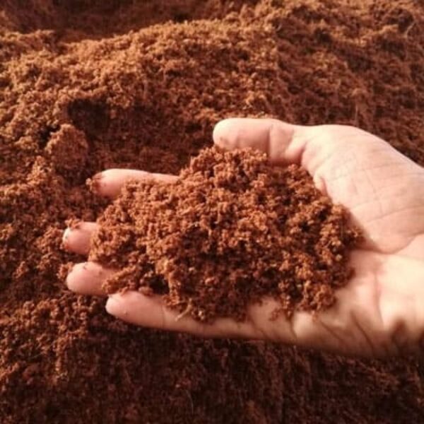 Cocopeat