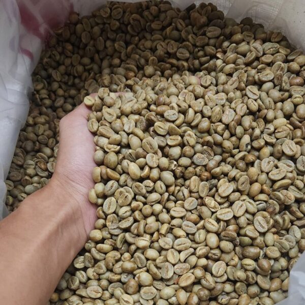 Green Beans Coffee