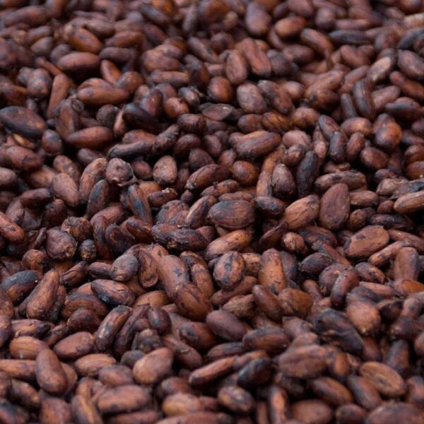 Kakao Beans